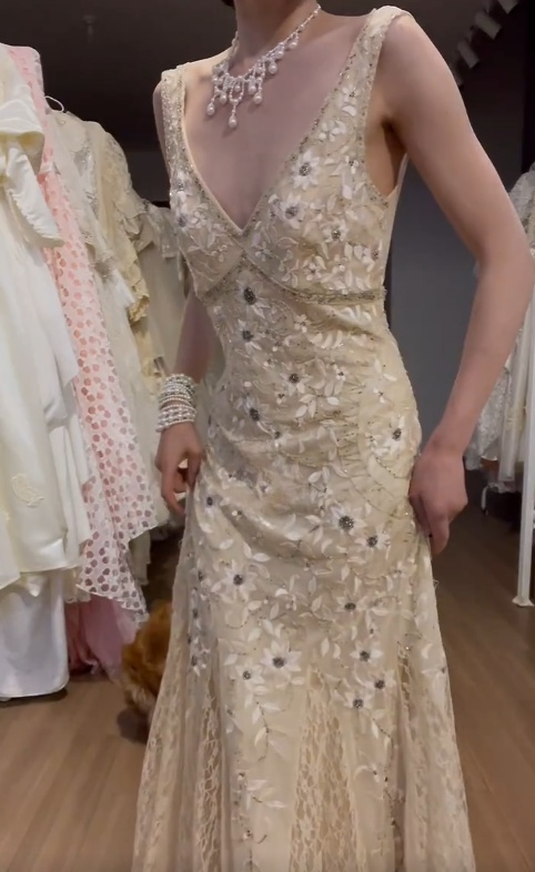 Gorgeous Mermaid V Neck Lace Applique Beaded Long Prom Dress, Party Dress, Evening Dress GG2549