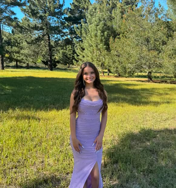 Pretty Mermaid Spaghetti Straps Lilac Chiffon Pleated Beaded Long Prom Dress,Evening Dress GG1938