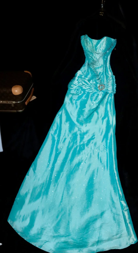 Pretty Mermaid Strapless Satin Beaded Without Sleeves Long Prom Dress,Evening Dress GG5564