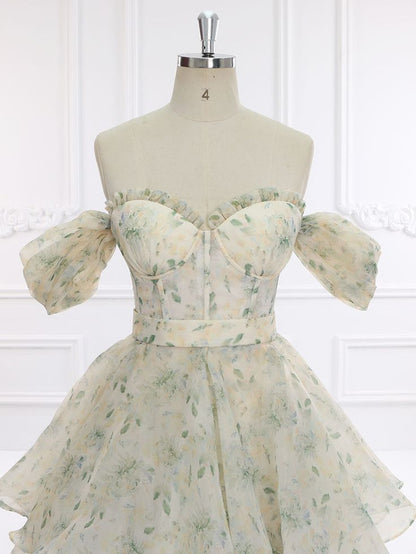 Elegant A Line Off The Shoulder Printing Floral Chiffon Long Prom Dress,Evening Dress GG575